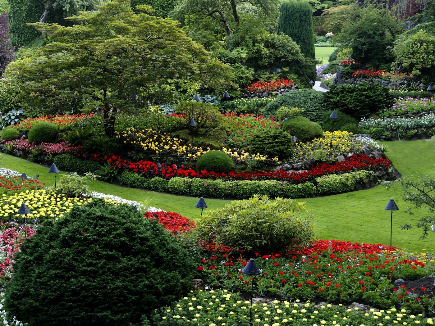 Massifs de plants ornementaux dans un jardin entretenu