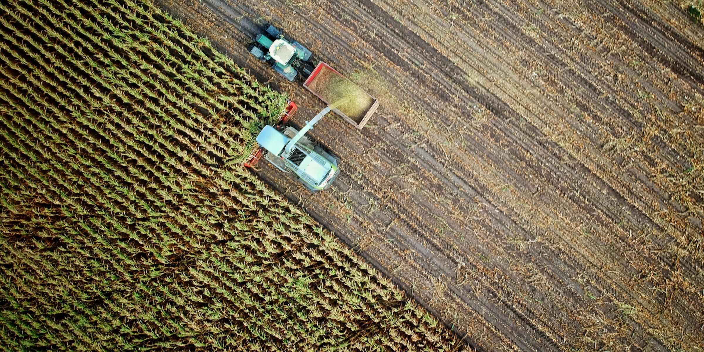 Machines agricoles coordonnées lors d’un chantier de récolte
